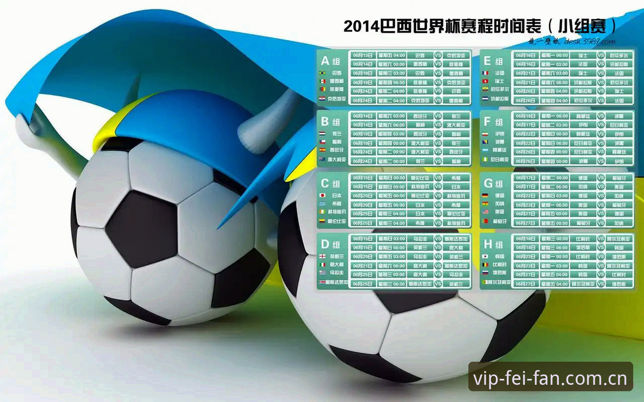 非凡体育电脑版下载全流程详细解读：从新手到高手的实用指南