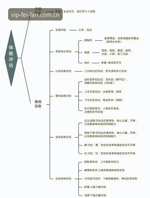 非凡体育怎么样iOS版 解析非凡体育iOS版的5个关键维度:从功能体验到用户反馈的全面评估